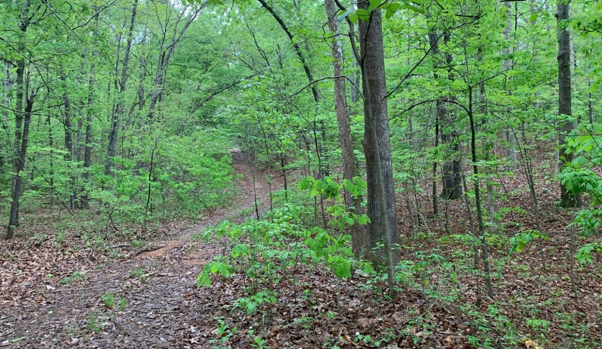 Image00007