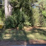1108 McArthur St, Magnolia, AR 71753 owner financed land in arkansas