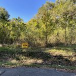 1218 S Spruce St, Pine Bluff, AR 71603 owner financed land in arkansas