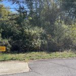 2009 S Amis St, Pine Bluff, AR 71603 owner financed land in arkansas