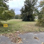 2017 Short Rose St, Blytheville, AR 72315 owner financed land in arkansas