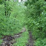 Lot 2, Block 16, Crestview Drive, Ozark Acres, AR 72482 owner financed land in arkansas