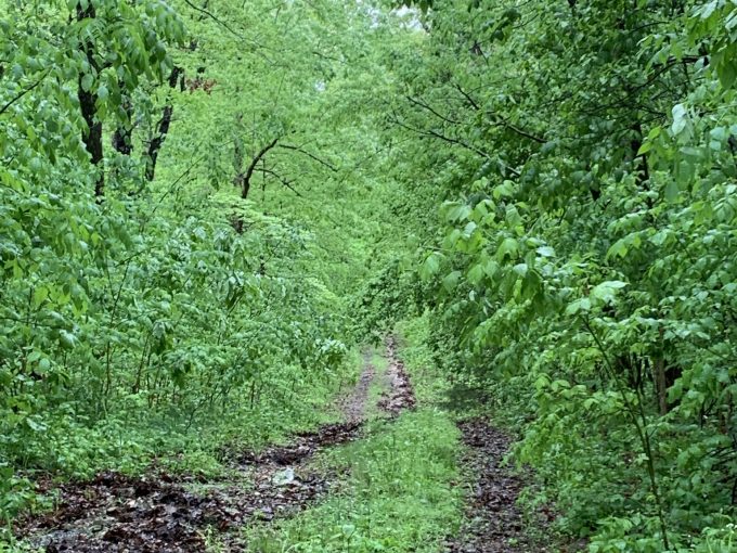 Lot 2, Block 16, Crestview Drive, Ozark Acres, AR 72482 owner financed land in arkansas