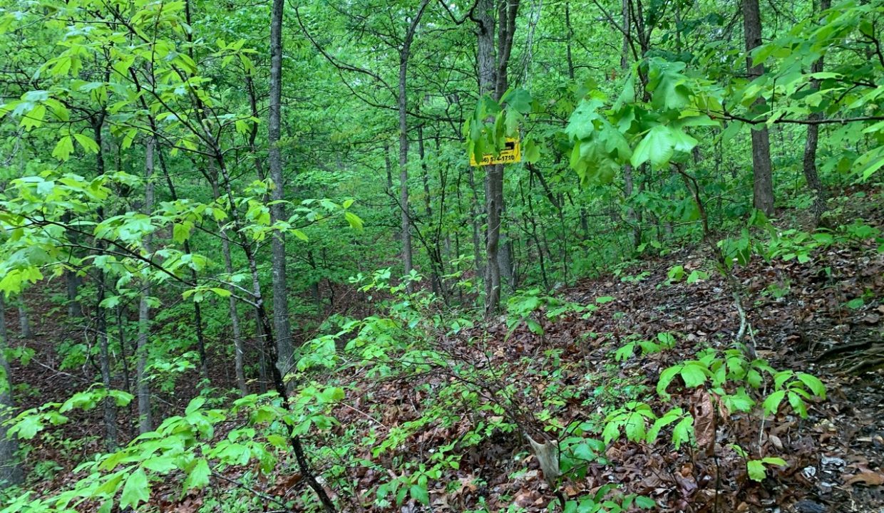 Image00001