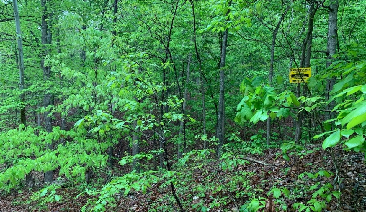 Image00002