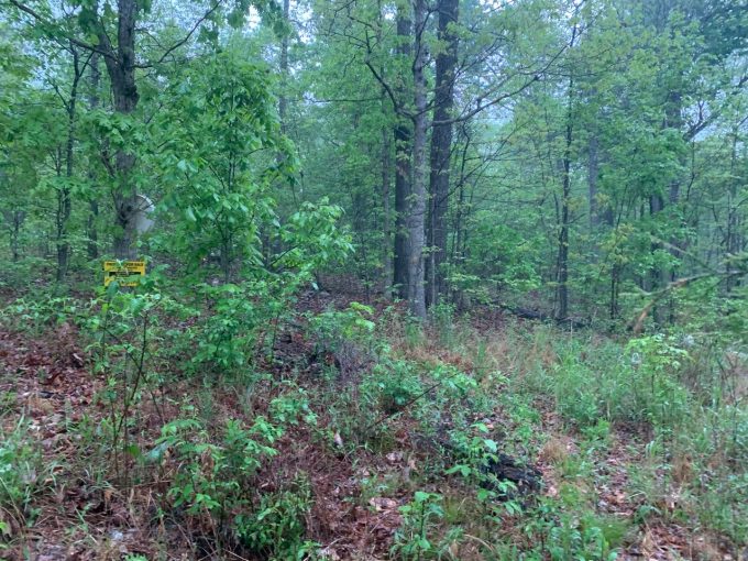 Lot 7, Block 23, Woodcock Lane, Ozark Acres, AR 72482 owner financed land in arkansas