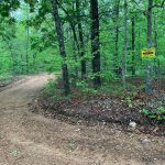 Lot 20, Block 30, Blackbird Drive, Ozark Acres, AR 72482 owner financed land in arkansas