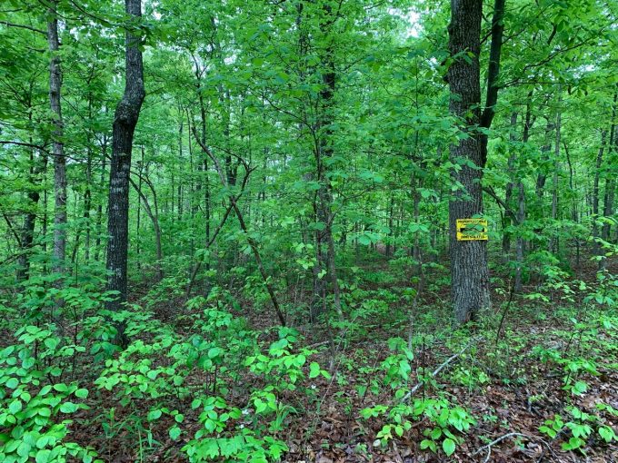 Lot 2, Block 3, Mockingbird Lane, Ozark Acres, AR 72482 owner financed land in arkansas