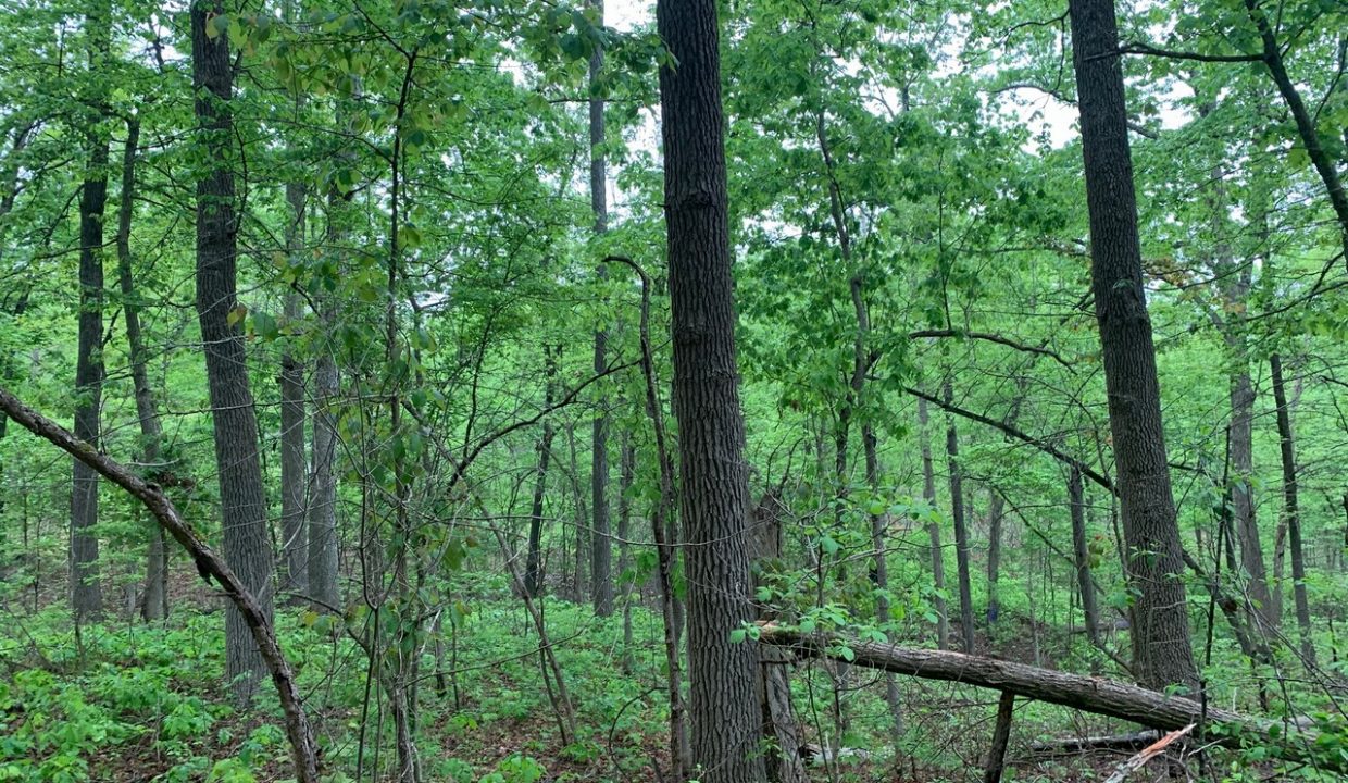 Image00003