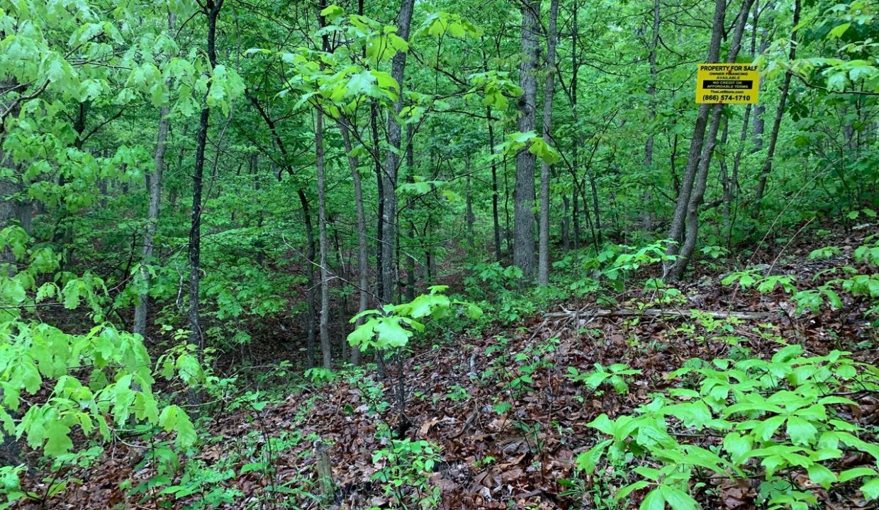 Image00003