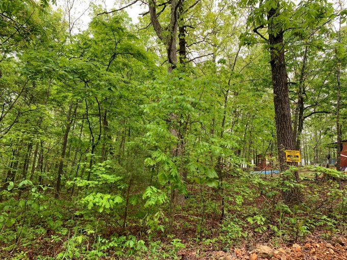 Lot 2W, Block 3, Mockingbird Lane, Ozark Acres, AR 72482 owner financed land in arkansas
