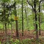 Lot 5W, Block 8, Redbird Drive, Ozark Acres, AR 72482 owner financed land in arkansas