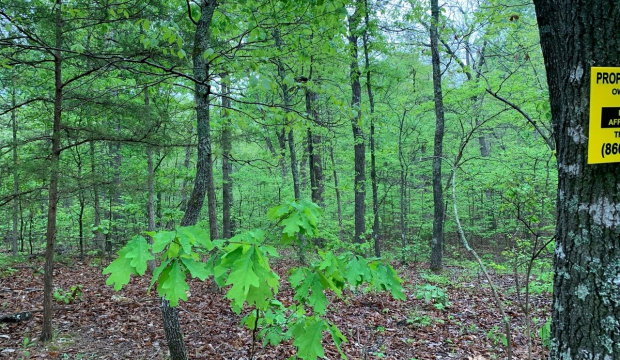 Image00004