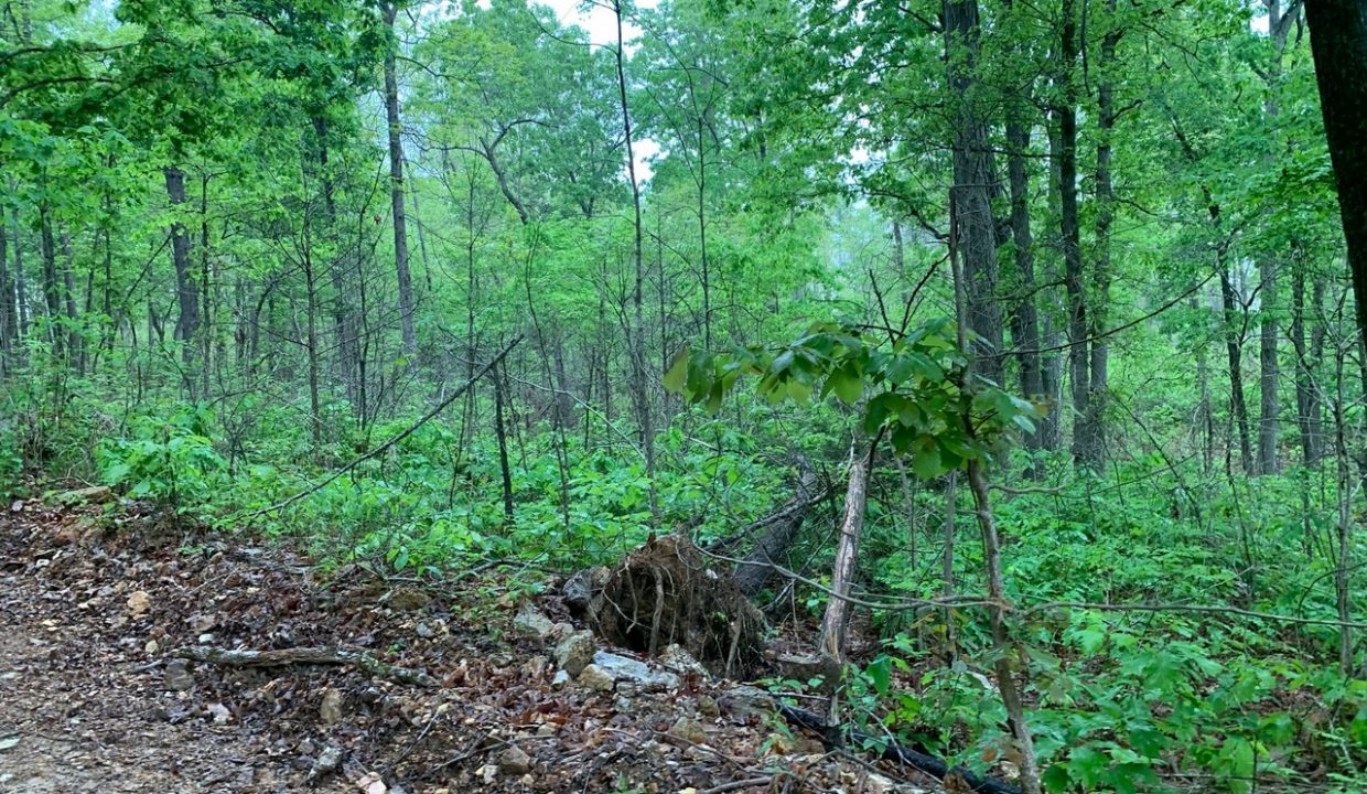 Image00004