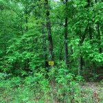 Lot 24, Block 3, Mockingbird Lane, Ozark Acres AR 72482 owner financed land in arkansas