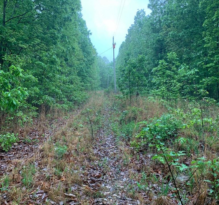 Image00004