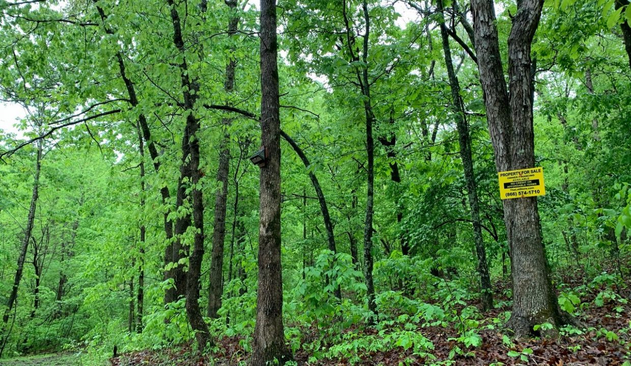 Image00004