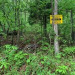 Lot 26, Block 16, Hitching Post Drive, Ozark Acres, AR 72482 owner financed land in arkansas