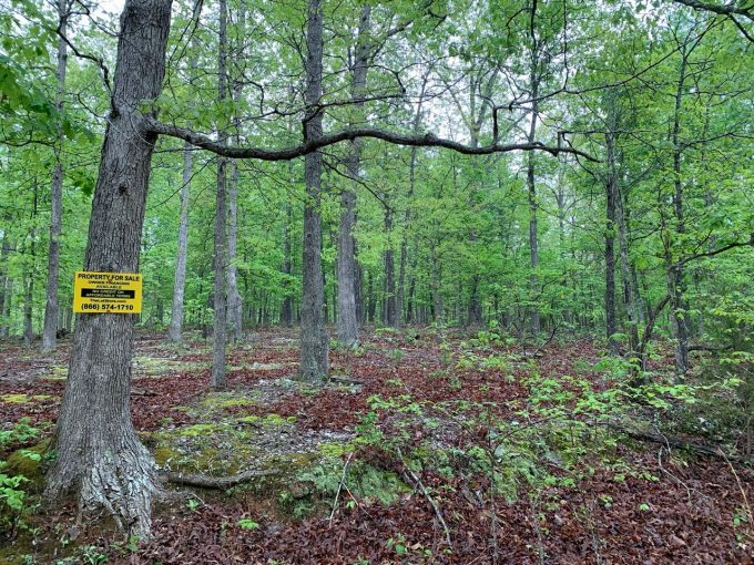 Lot 13, Block 26, Partridge Lane, Ozark Acres, AR 72482 owner financed land in arkansas