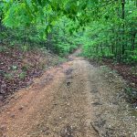 Lot 19, Block 26, Partridge Lane, Ozark Acres, AR 72482 owner financed land in arkansas