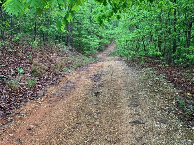 Lot 19, Block 26, Partridge Lane, Ozark Acres, AR 72482 owner financed land in arkansas