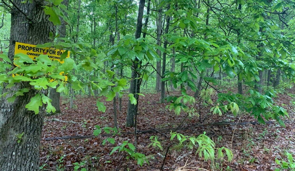 Image00006