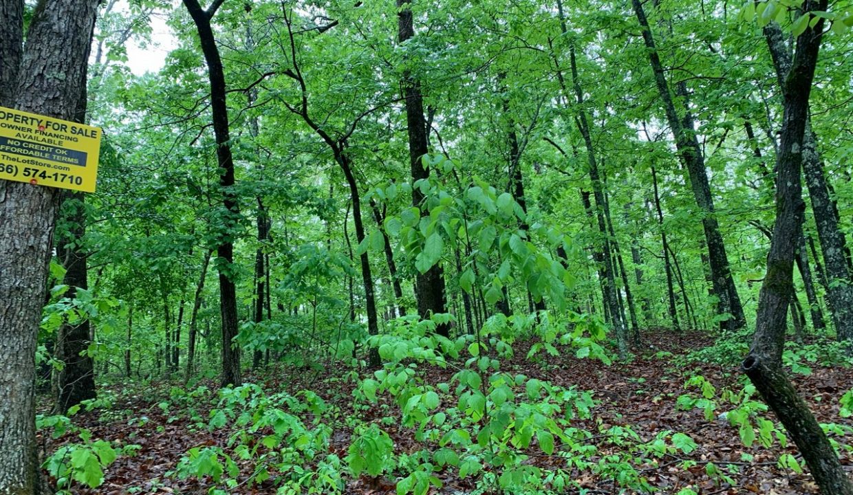 Image00006