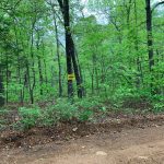 Lot 7, Block 3, Mockingbird Lane, Ozark Acres AR 72482 owner financed land in arkansas