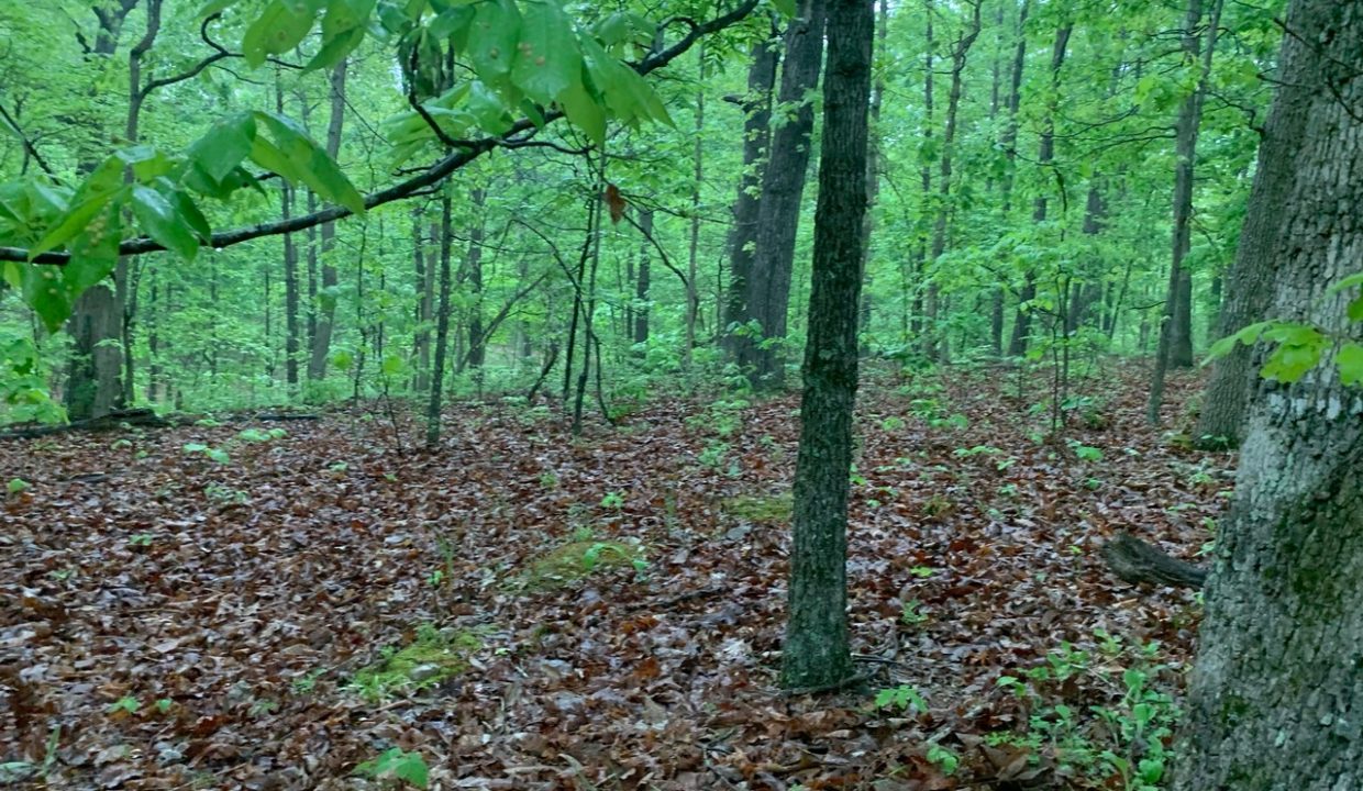 Image00007