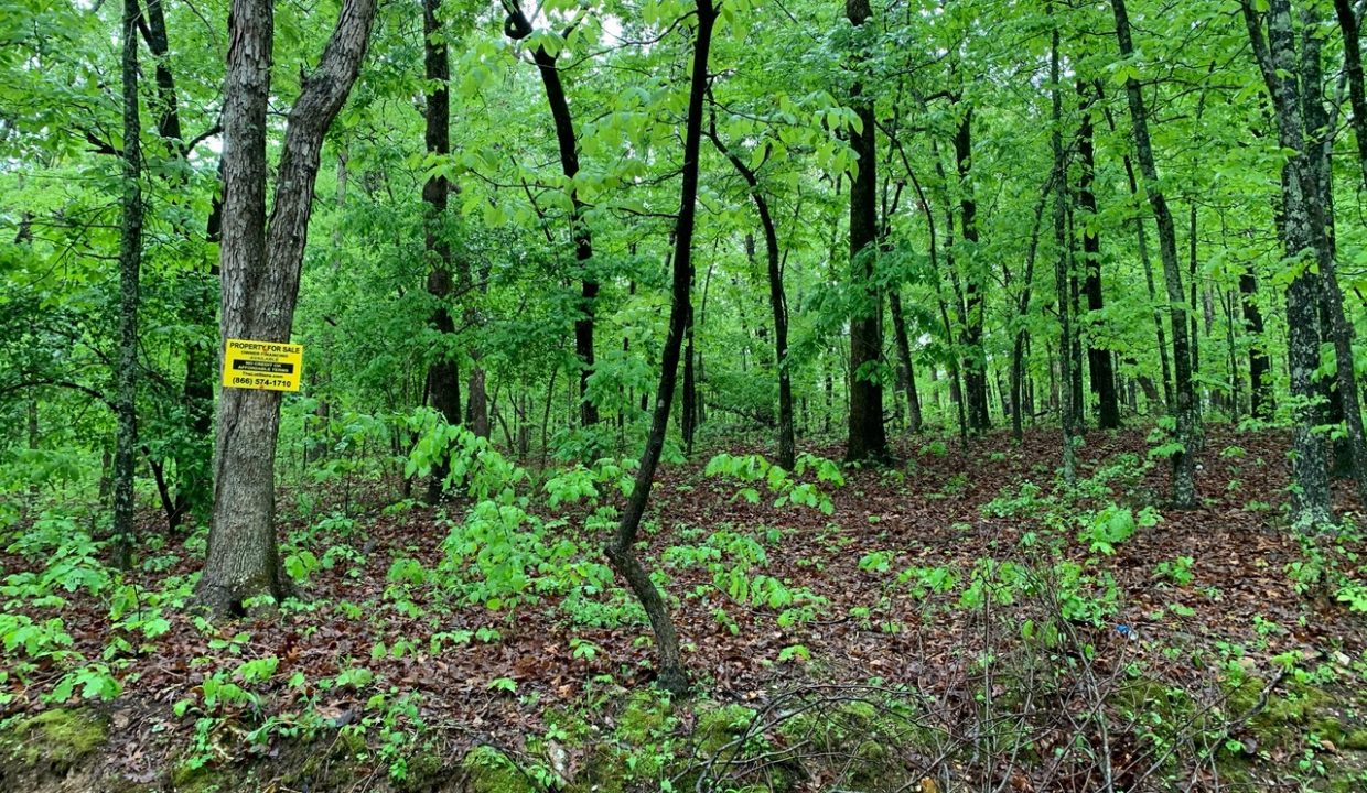 Image00007