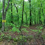 Lot 16, Block 8, Canyon Trail, Ozark Acres, AR 72482 owner financed land in arkansas