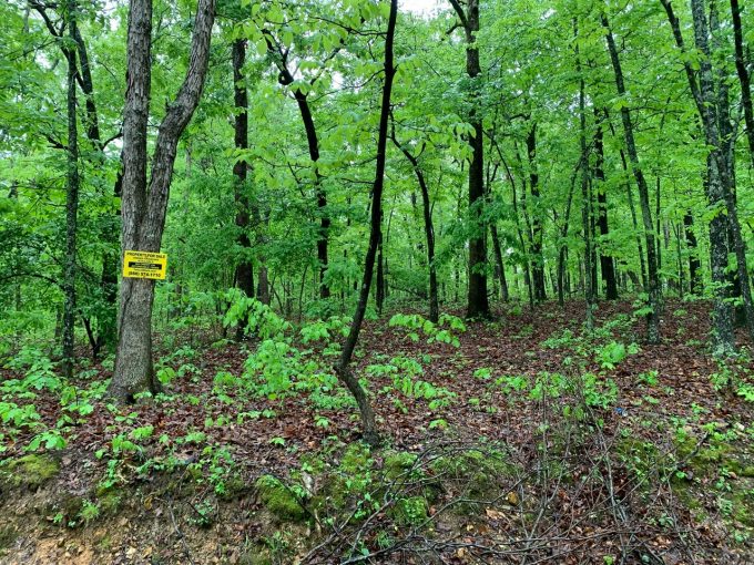 Lot 16, Block 8, Canyon Trail, Ozark Acres, AR 72482 owner financed land in arkansas