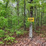 Lot 4W, Block 5, Bluebird Drive, Ozark Acres, AR 72482 owner financed land in arkansas
