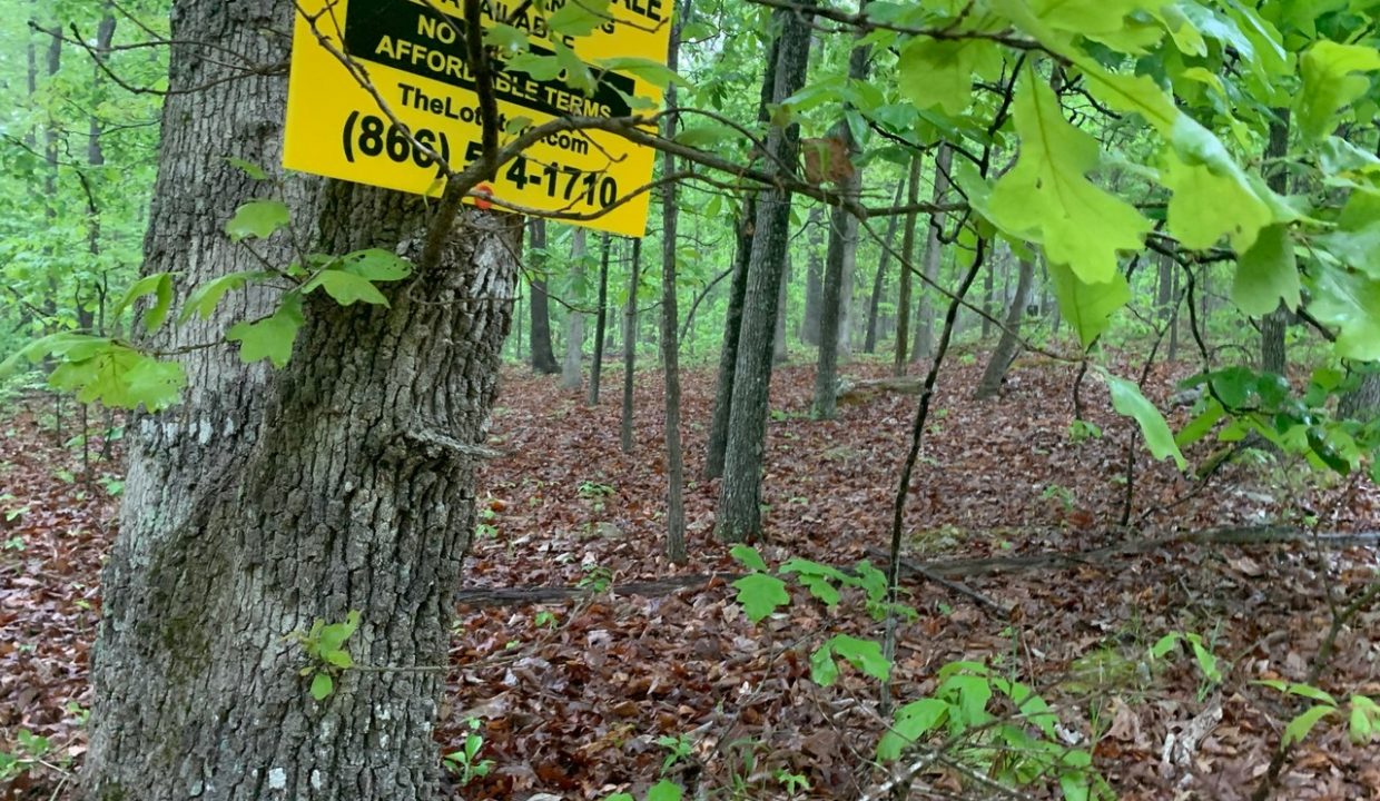 Image00008
