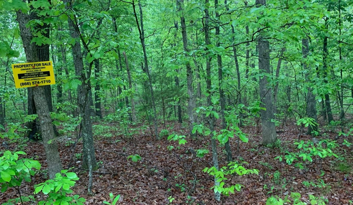 Image00008