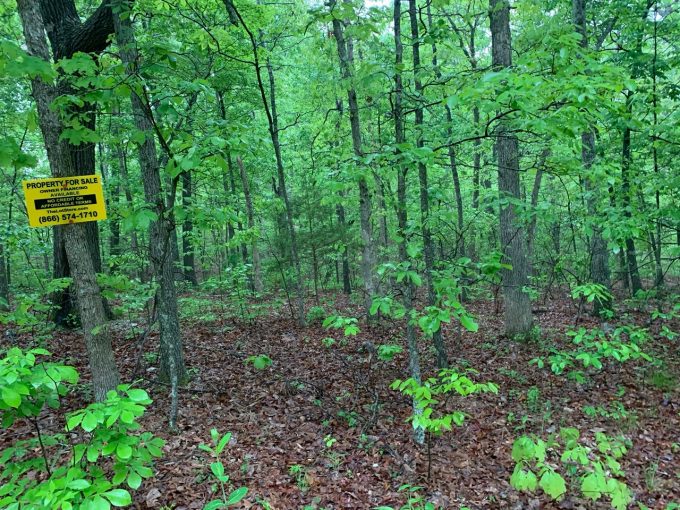 Lot 13, Block 24, Woodcock Lane, Ozark Acres, AR 72482 owner financed land in arkansas