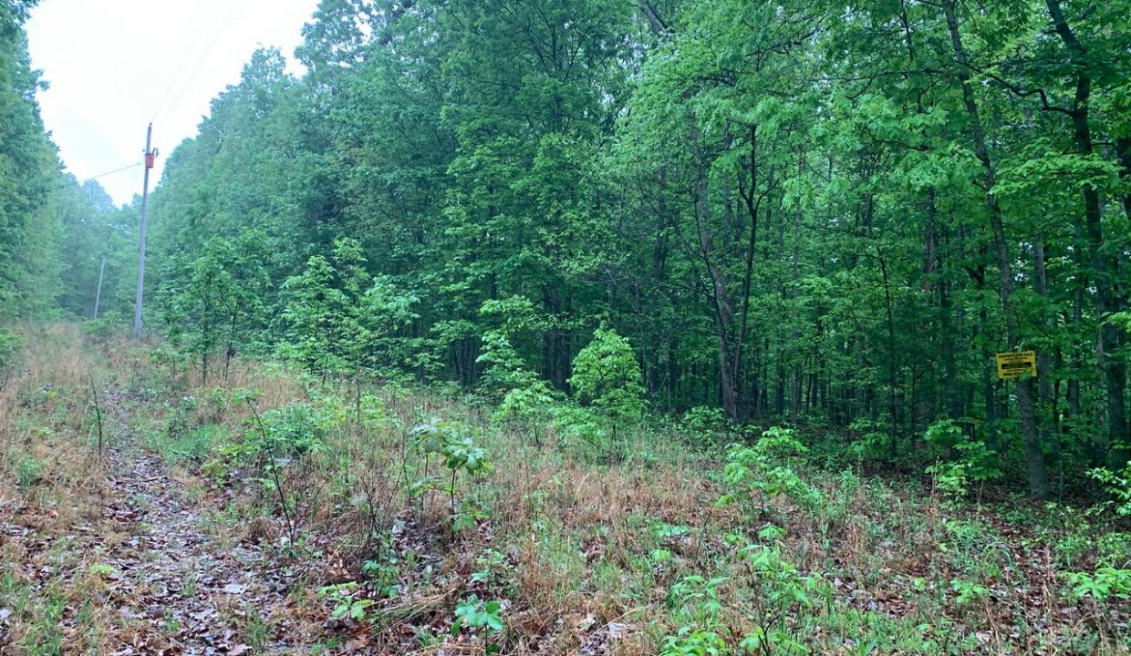 Image00013