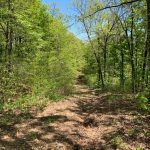 Lot 6, Block 14, Overland Trail, Ozark Acres, AR 72482 owner financed land in arkansas