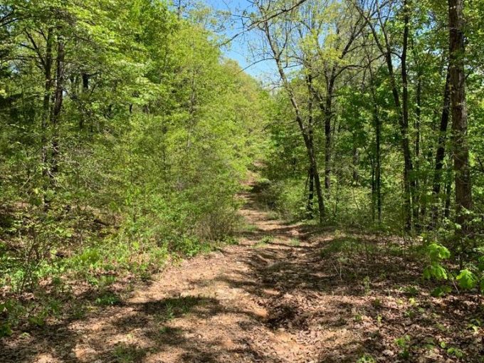 Lot 6, Block 14, Overland Trail, Ozark Acres, AR 72482 owner financed land in arkansas