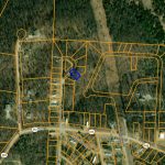 Lot 19, Holiday Drive, Briarcliff, AR 72653 owner financed land in arkansas