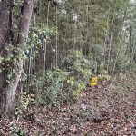 0 S Kentucky St, Pine Bluff, AR 71601 owner financed land in arkansas