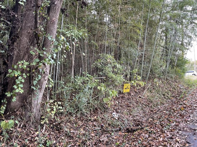 0 S Kentucky St, Pine Bluff, AR 71601 owner financed land in arkansas