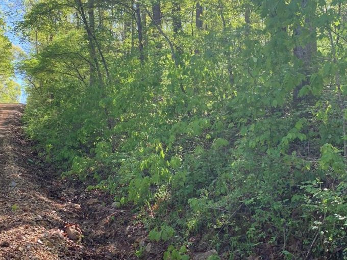 Lot 2, Block 4, Wagon Trail, Ozark Acres, AR 72482 owner financed land in arkansas