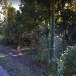 Lot 1, Grand Ave, Helena, AR 72342 owner financed land in arkansas