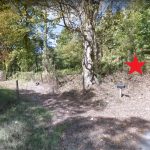0 Poplar St, Helena, AR 72342 owner financed land in arkansas