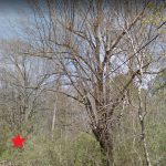 0 N Lindell St, Pine Bluff, AR 71601 owner financed land in arkansas