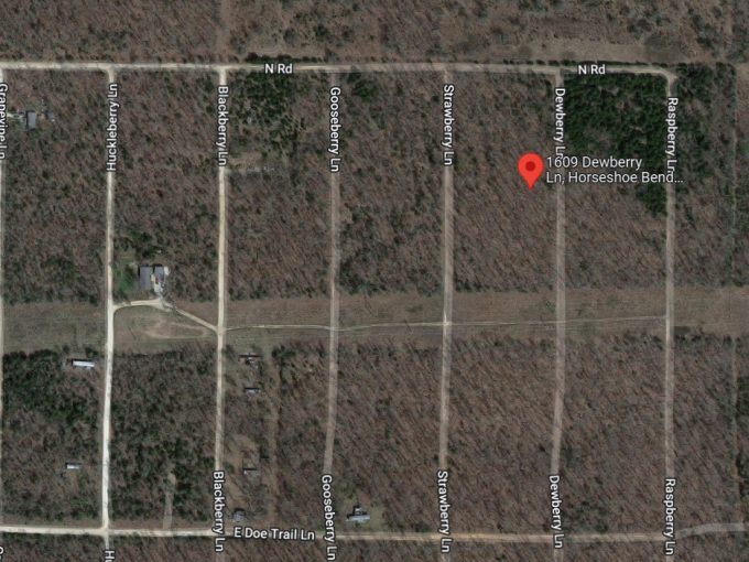 1609 Dewberry Lane, Horseshoe Bend, AR 72512 owner financed land in arkansas