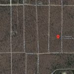 1311 Dewberry Lane, Horseshoe Bend, AR 72512 owner financed land in arkansas