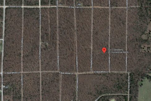 1311 Dewberry Lane, Horseshoe Bend, AR 72512 owner financed land in arkansas