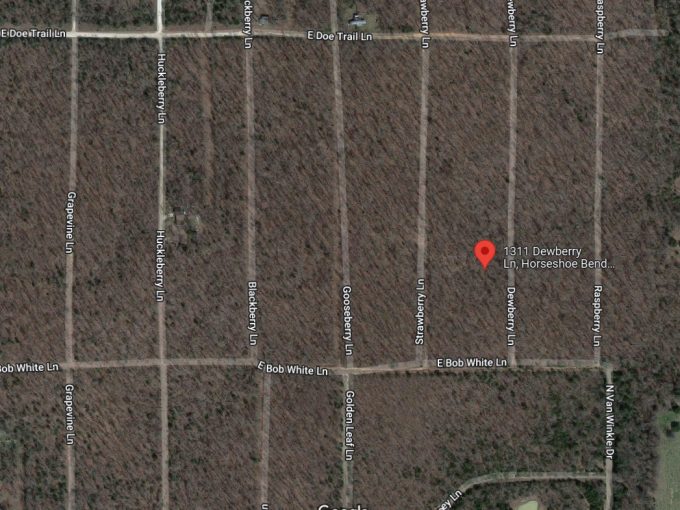 1311 Dewberry Lane, Horseshoe Bend, AR 72512 owner financed land in arkansas